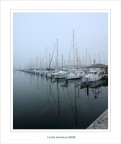 Silenziosamente.... al porto