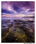 Castiglioncello....