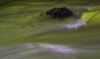 Acqua e luce
