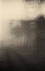 dissolvenze 3