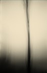 dissolvenze 4