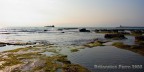 Canon 350D - Bassa marea nei pressi del porto di Livorno (sullo sfondo le dighe dell'avanporto)
Sigma 18-50 DC f/3.5-5.6 @ 18 f/10
Polarizzatore