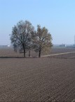 campagna