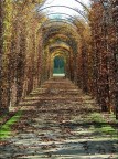 autunno