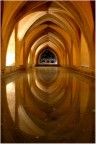 Un gioco di archi in uno dei luoghi pi belli di Granada: l'Alambra!
Un gioco che si riflette nell'acqua diventando cos un doppio gioco di archi con una luce calda che d atmosfera.