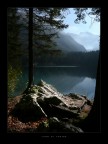 Fusine