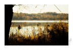 l'autunno .