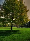 Verso l'autunno...