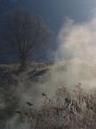 I primi raggi di sole