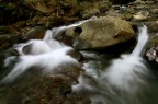 torrente2