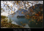 Emozioni d'autunno ..