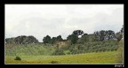 Dipinto