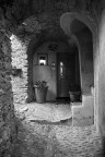 Luce 6