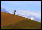 solitudine