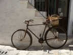 Gallipoli- Puglia