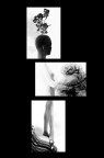 Trittico (Octavia Project)