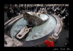 Frammenti di Roma