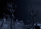 Notte