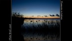 immagini salentine,penisola della strega,porto cesareo(nov.2008)...