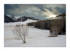 Un Sole Gelido