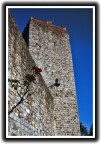 Torre