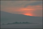 Alba