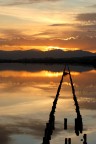 L'immagine  stata scattata alle Saline di Molentargius a Cagliari luned 17/11/2008.
Commenti e suggerimenti graditi.