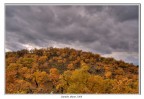 collina gialla