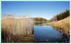 lago