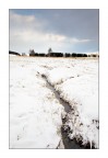 Ferita Invernale