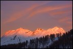 Foto scattata al Sestriere.
Commenti e critiche sempre ben accetti