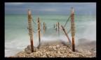pontile