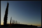 Le ultime luci del giorno