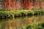 Riflessi d'autunno