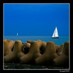 Navigando....