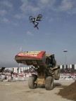 EICMA 2008