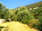 f710
PW: livelli