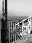 f710
PW: livelli