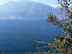 f710
PW: livelli