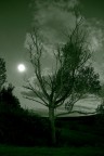 notte di luna