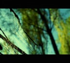 cross process from C41 to E6 cross process from C41 to E6