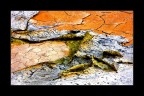 the earth's colors