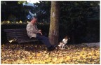 Ho provato a rendere la scena un poco pi ineressante con l'aggiunta di questo filtro che simula la pittura. La presenza delle foglie e del quadretto dell'uomo con il cane mi hanno dato lo spunto per trasformarla.
A voi il giudizio.