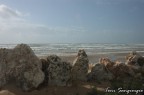 IMG_0114.jpg