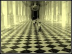 VENARIA