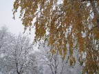 L'inverno  arrivato