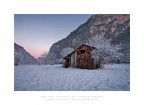 Frozen World