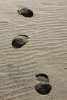 Impronte