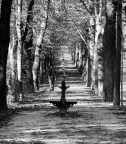 Autunno