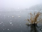 Nevica